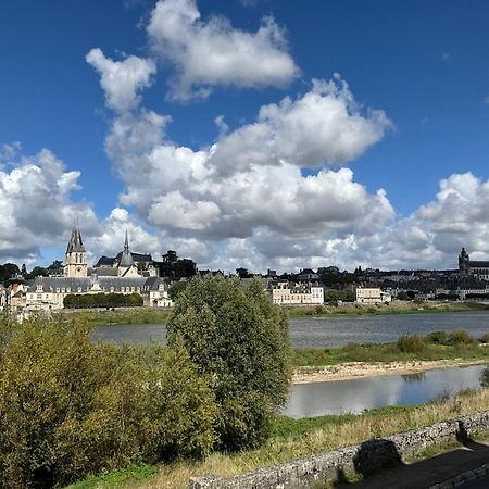 Gites Des Cygnes Vue Sur Loire Et Linge Inclus Blois Exterior photo